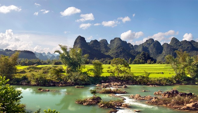 Người Châu Âu với tranh sơn dầu-15
